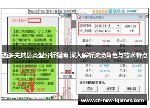 西多夫球员类型分析指南 深入解析球场角色与技术特点
